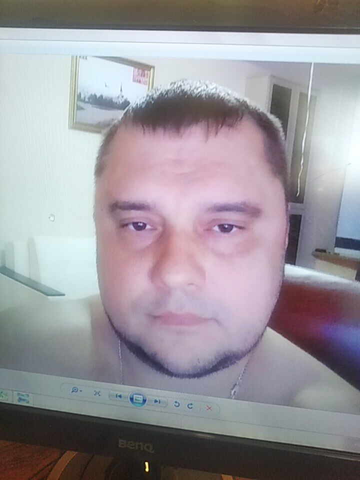  31291000  , 49 ,    -