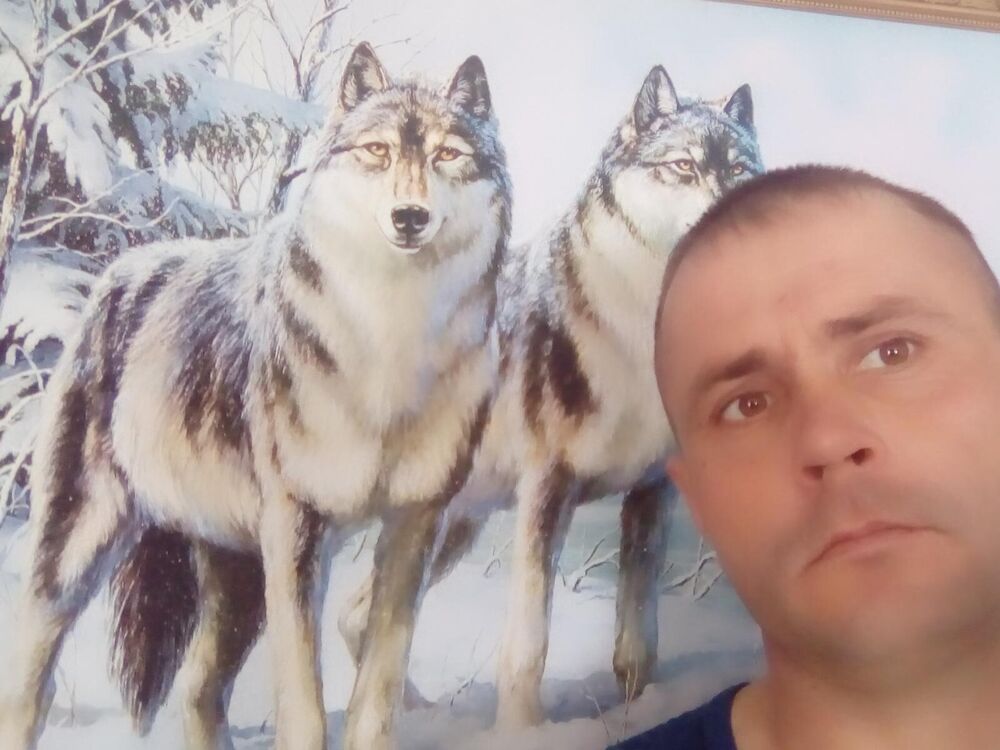  ,   , 43 ,   c 