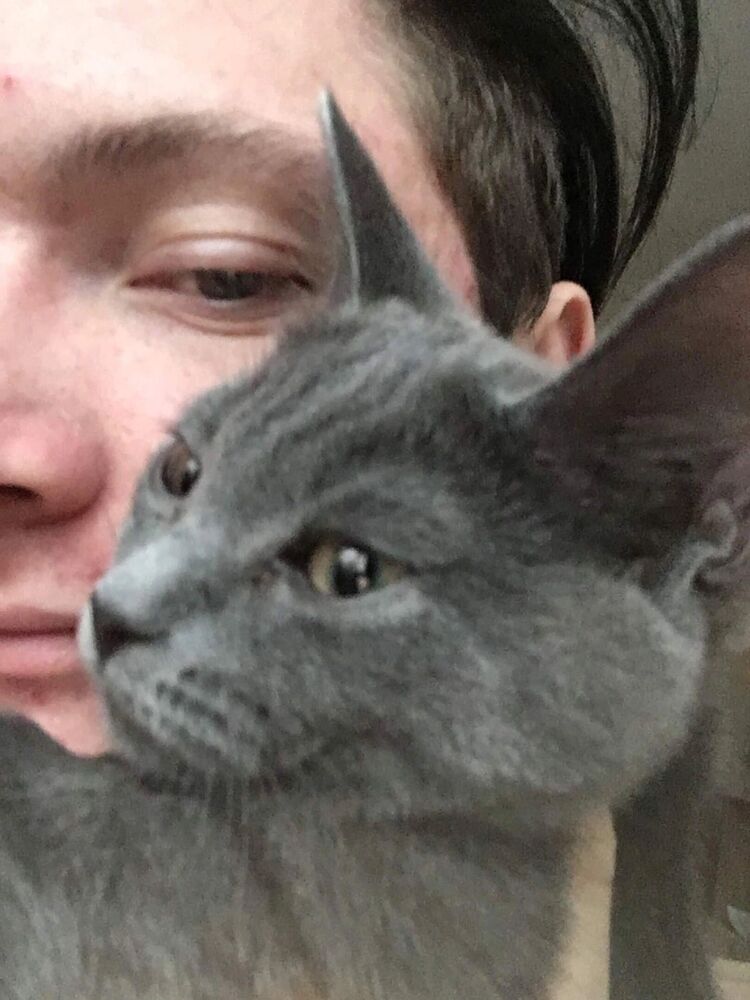 ���������� �����������, ���� ����� �����, 24 ����, ������������ ��� ������, ����� � ���������, c�������� ���������