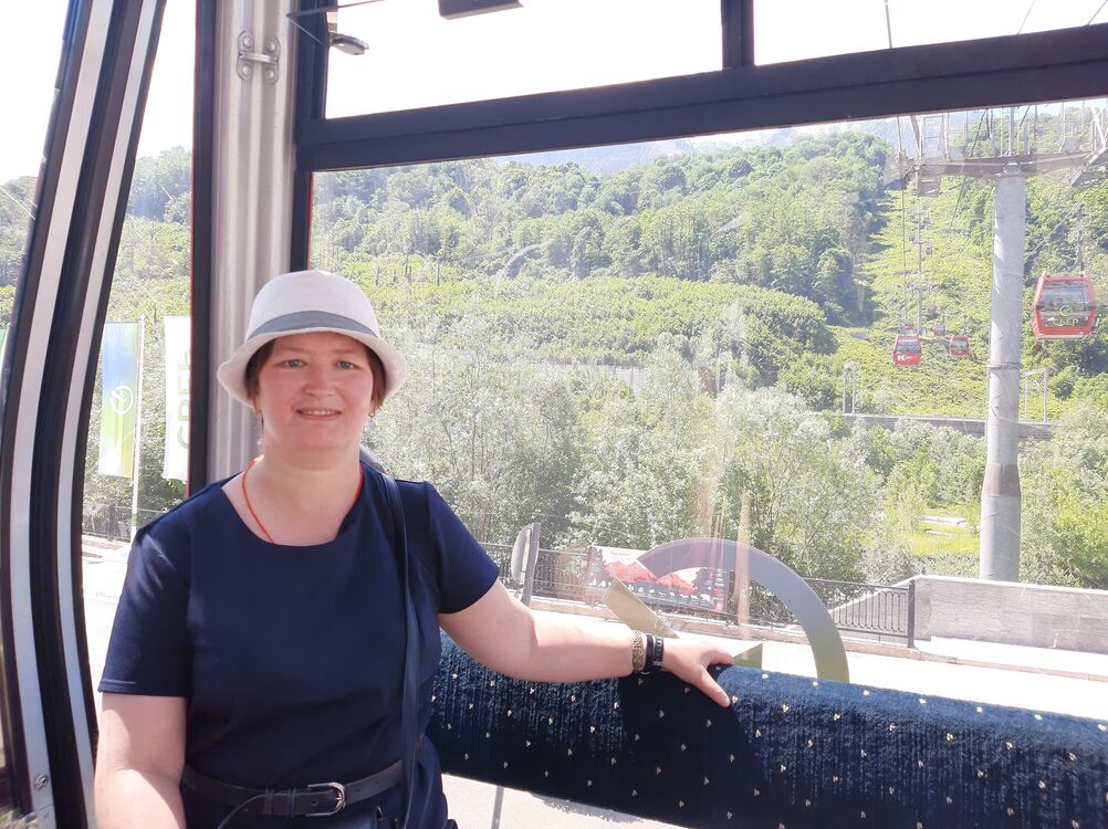  54582470  , 43 ,    -