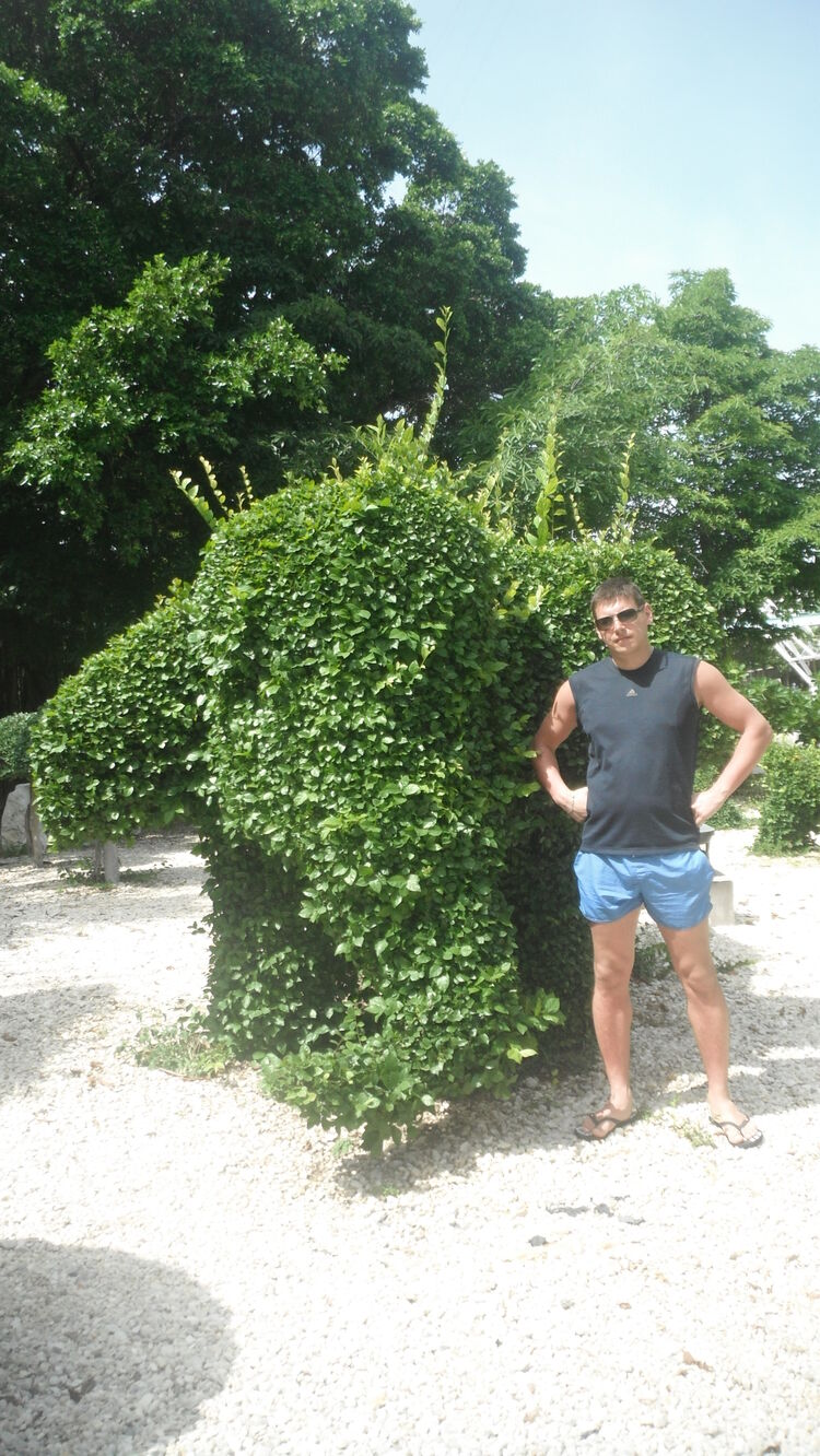 ���������� �����-���������, ���� ������� ������, 46 ���, ������������ ��� ������, ����� � ���������, c�������� ���������, ���������