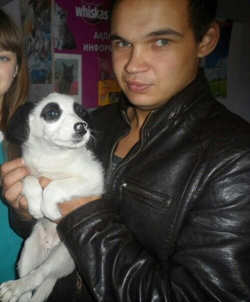 ���� 4842910 ������� ������, 35 ���, ���� ���������� � ��������