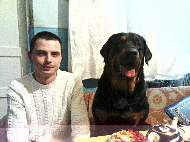 ,   Max, 48 ,   ,   , c 