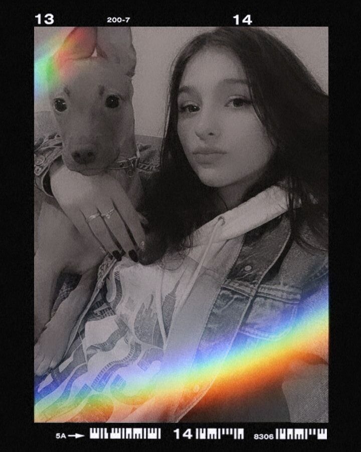  47871720  , 19 ,    
