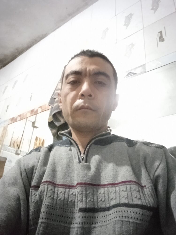  41476740   , 43 ,    -