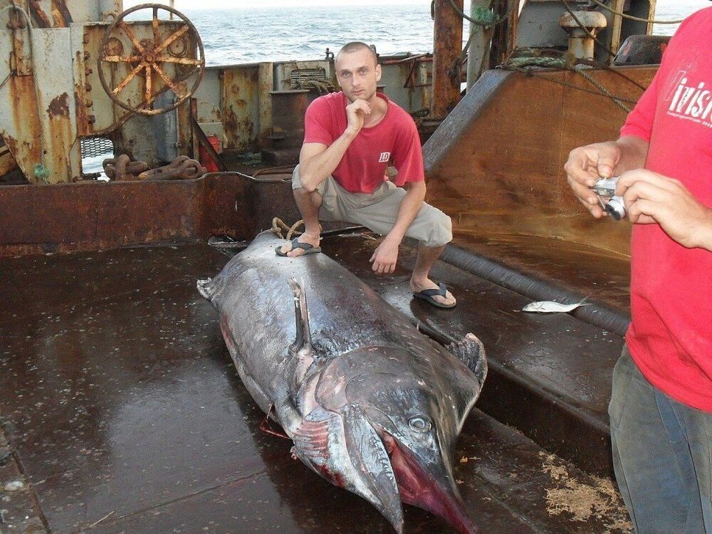 ���� 9607230 ������� �����, 42 ����, ���� ���������� � �����������