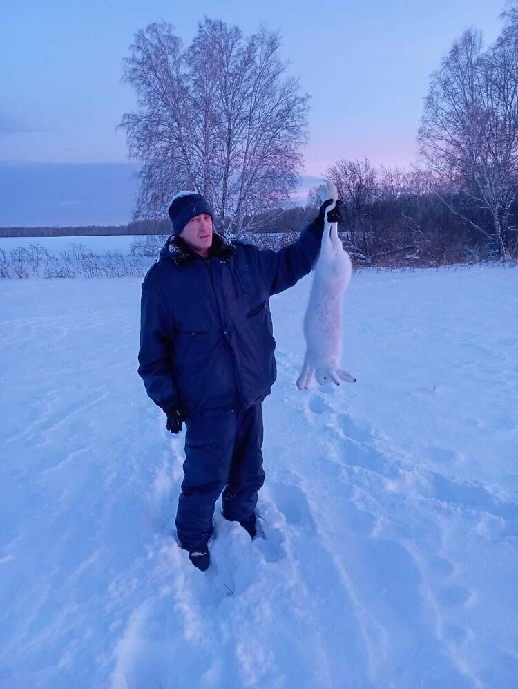 ���� 52970060 ������� �������, 29 ���, ���� ���������� � ����������