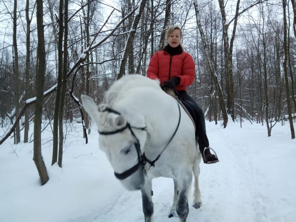 ���� 54116010 ������� �����, 44 ����, ���� ���������� � �����