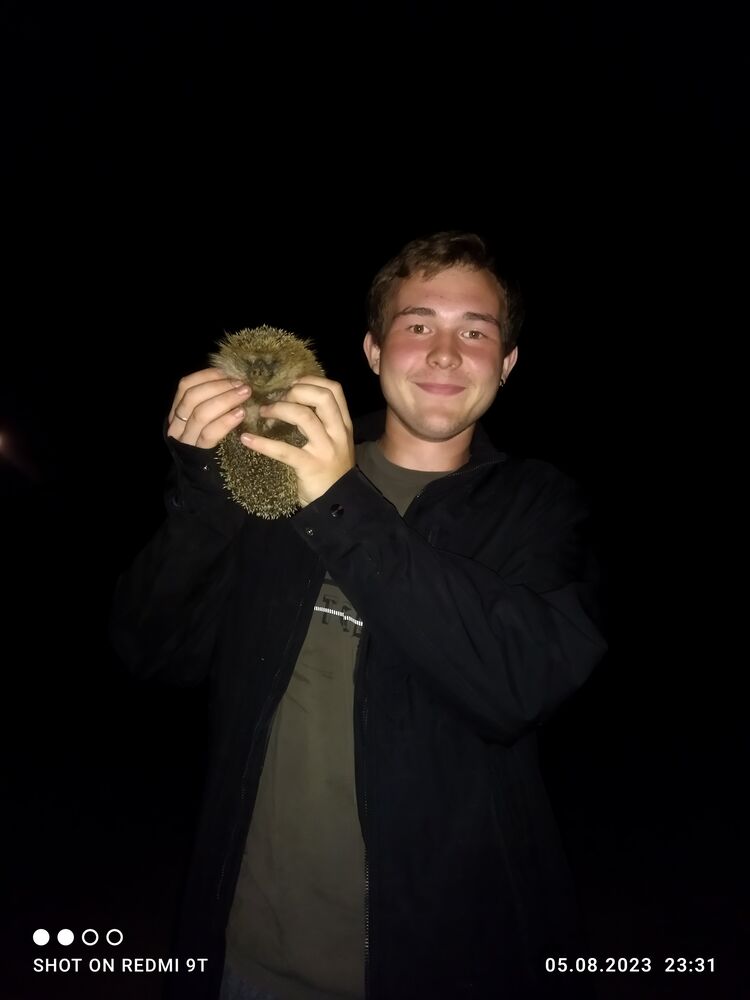 ���������� ������, ���� ����� ������, 25 ���, ������������ ��� ������, ����� � ���������