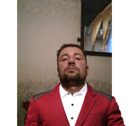  ,   , 41 ,   
