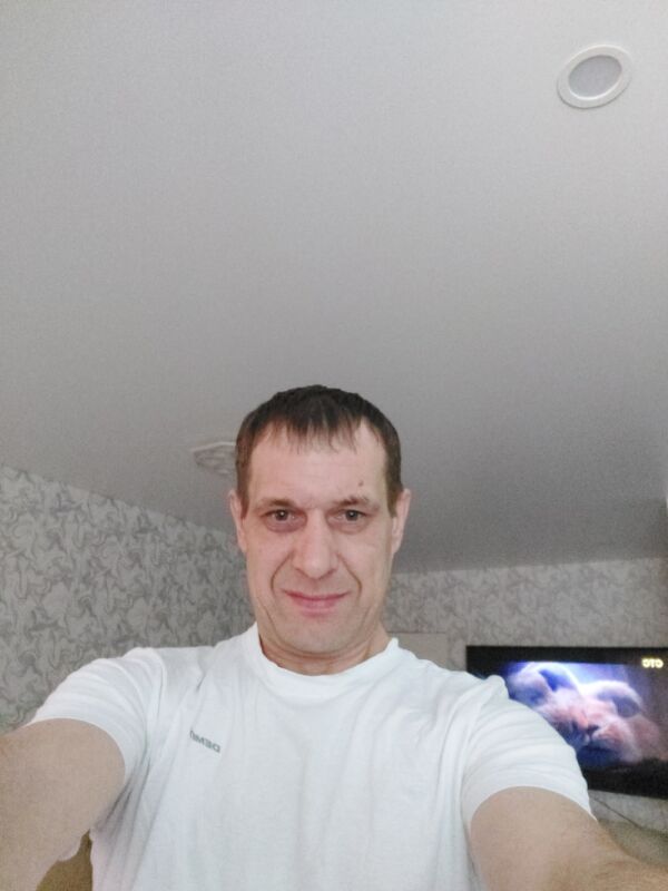 ���� 31713000 ������� �������, 46 ���, ���� ���������� � �����������