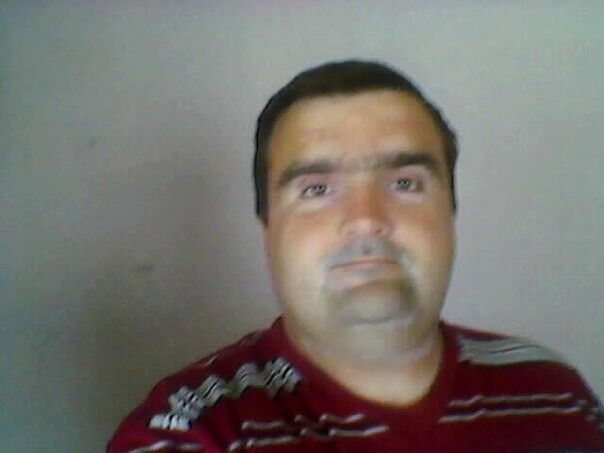  ,   , 43 ,  