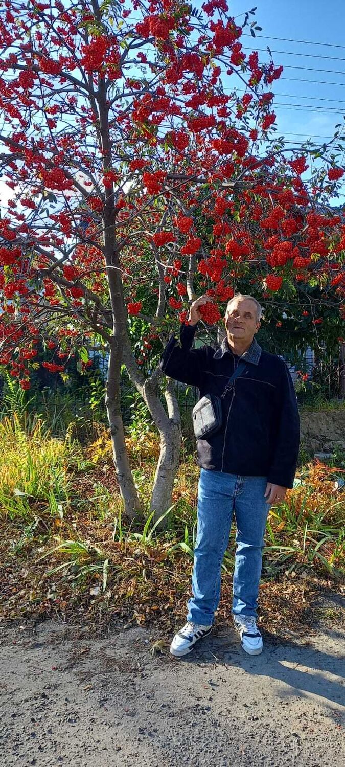  39624770  , 60 ,    -