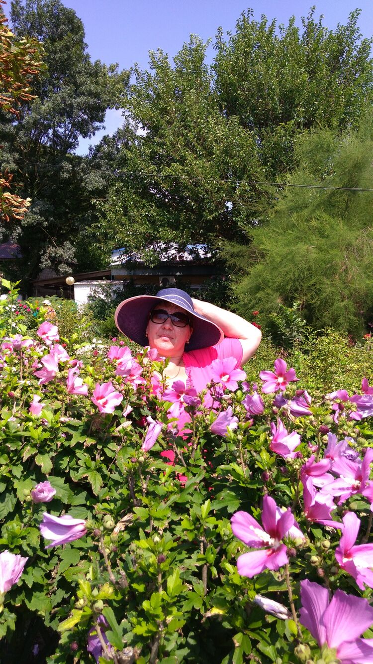 ���������� ������-��-����, ���� ������� �����, 52 ����, ������������ ��� ������, ����� � ���������, c�������� ���������, ���������