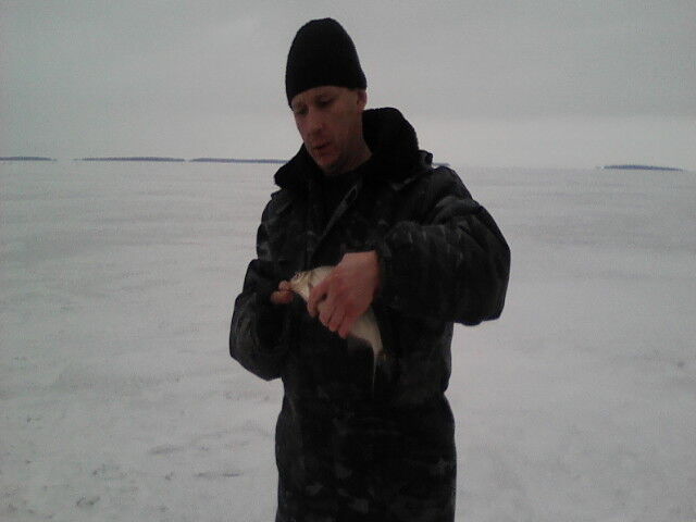 ���������� ������������, ���� ������� ����, 48 ���, ������������ ��� ������, ����� � ���������, c�������� ���������