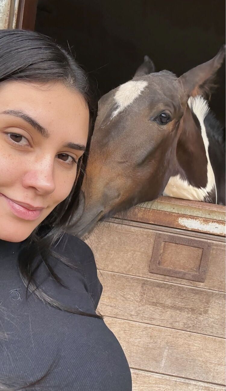 ���������� ������, ���� ������� ������, 23 ����, ������������ ��� ������, ����� � ���������, c�������� ���������