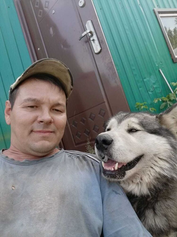 ���������� ��������, ���� ������� ����, 44 ����, ������������ ��� ������, ����� � ���������