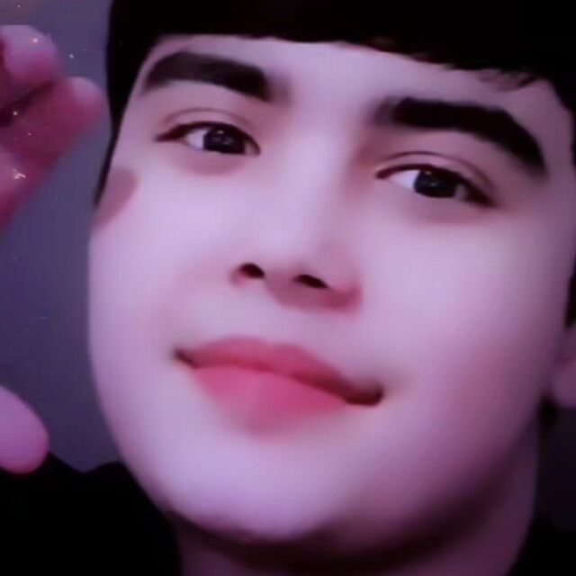 ���� 45308150 ����� ����, 24 ����, ���� ���������� � ������