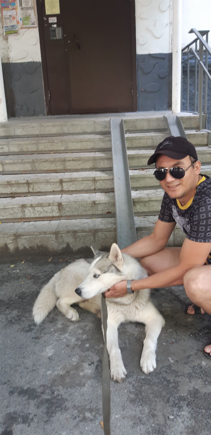 ���� 28464440 ������� Reva, 39 ���, ���� ���������� � ������