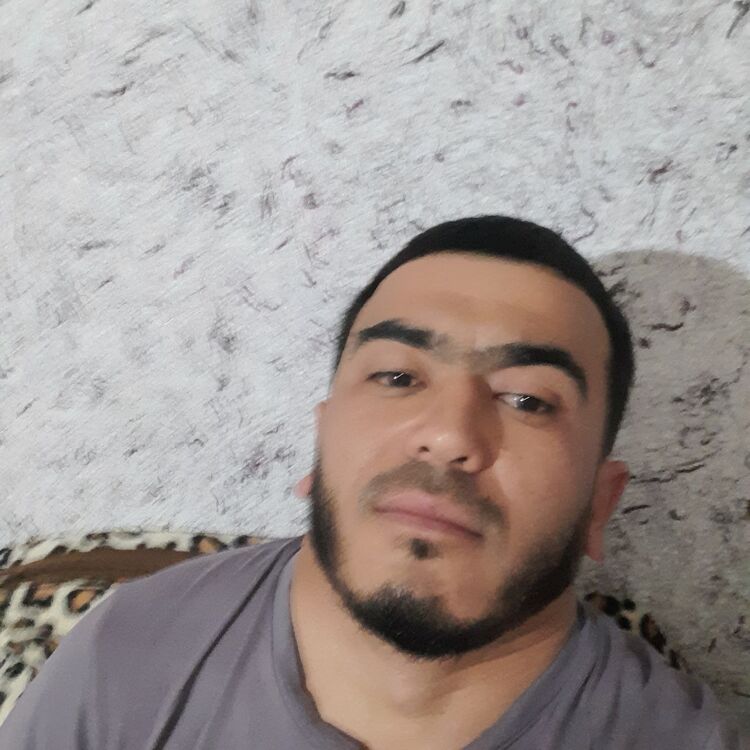  47824290  , 33 ,    