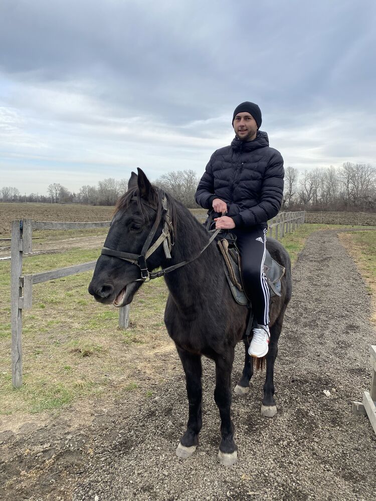 ���������� ���������, ���� ������� ��������, 39 ���, ������������ ��� ������, ����� � ���������