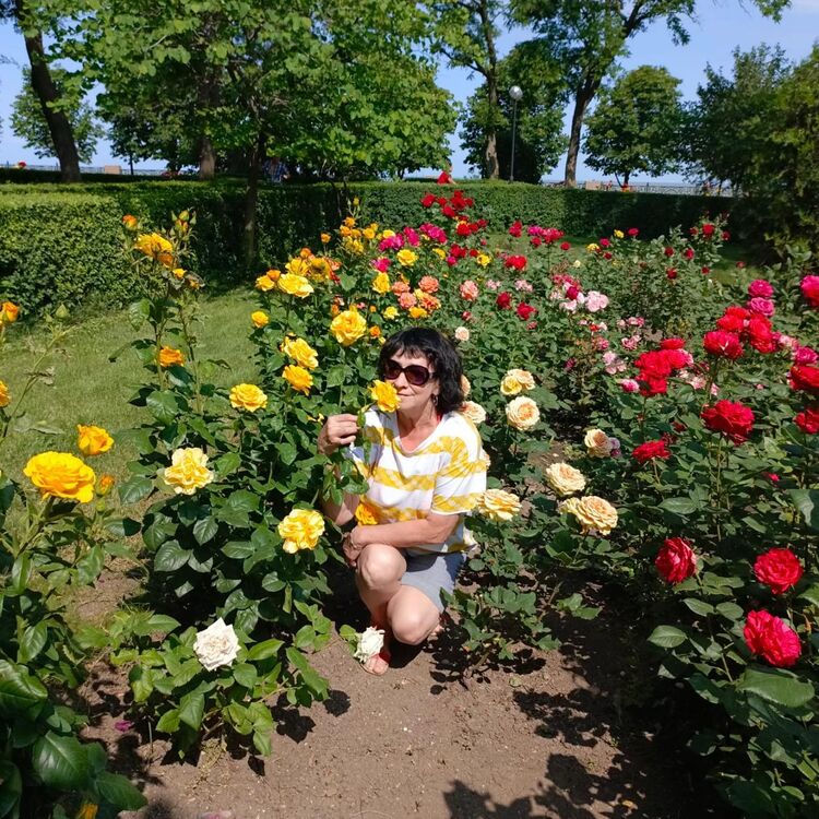 ���������� �������, ���� ������� ������, 64 ����, ������������ ��� c�������� ���������, ���������