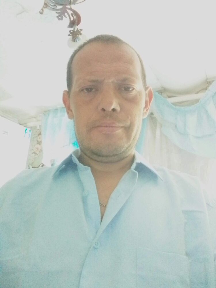  50472880  , 43 ,    