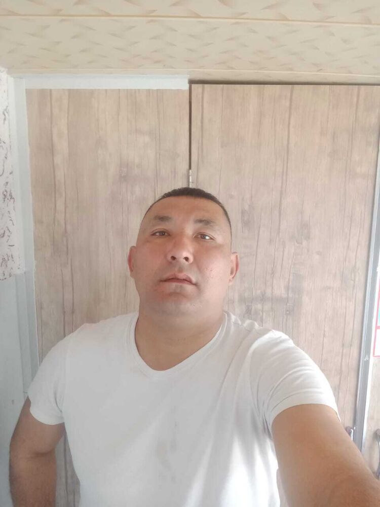  50890570  , 36 ,    