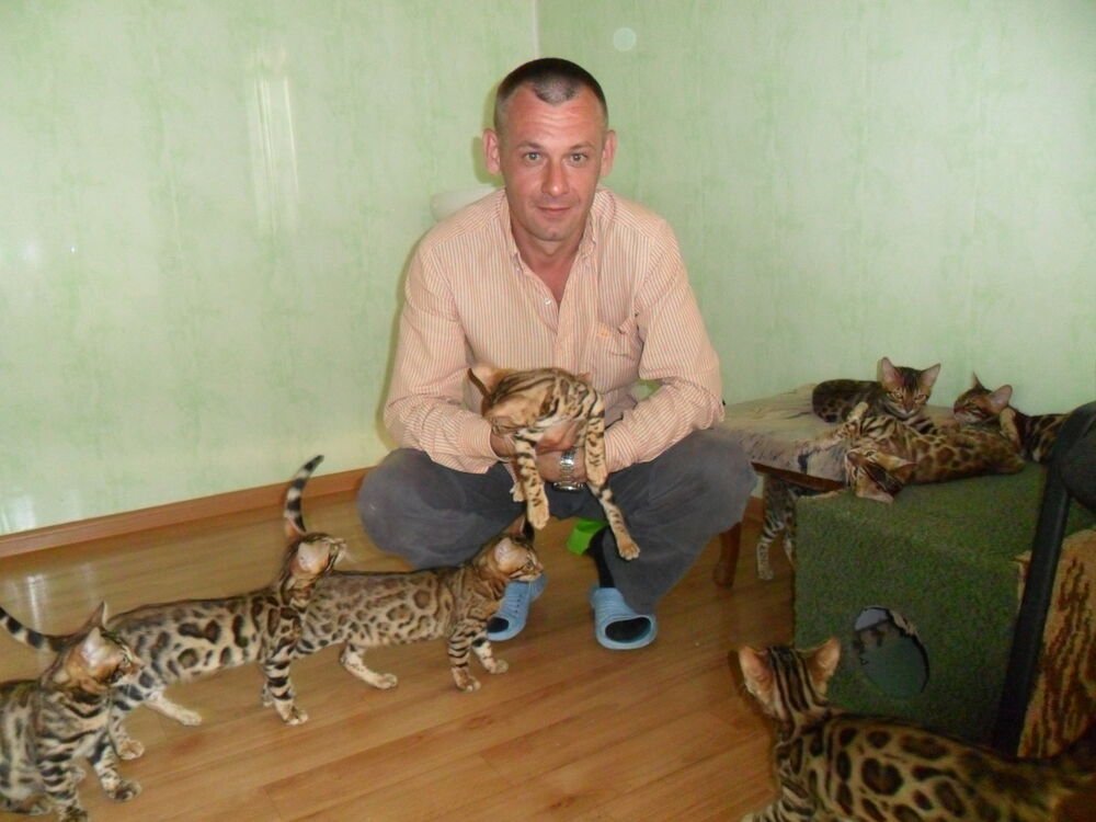 ���������� ���������� �����, ���� ������� Alex, 48 ���, ������������ ��� ������