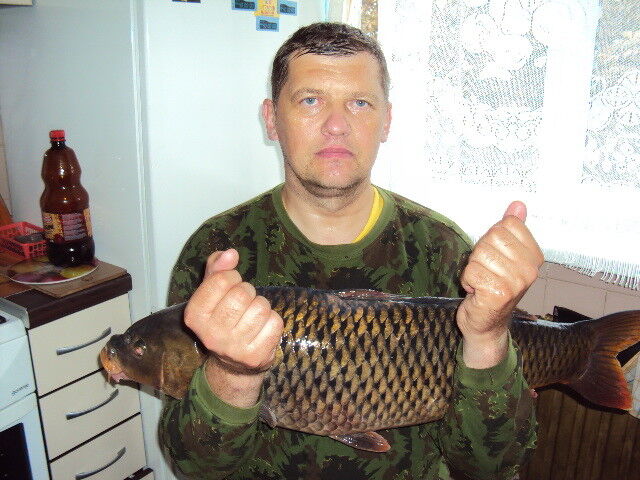 ���� 6037220 ������� ����, 60 ���, ���� ���������� � ������������