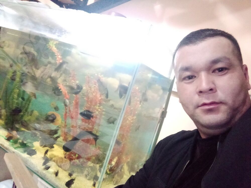  ,   Orda, 44 ,   ,   , c , 