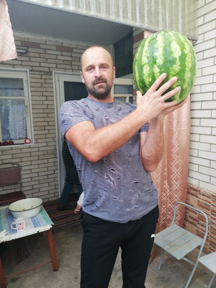  35611290  , 53 ,    