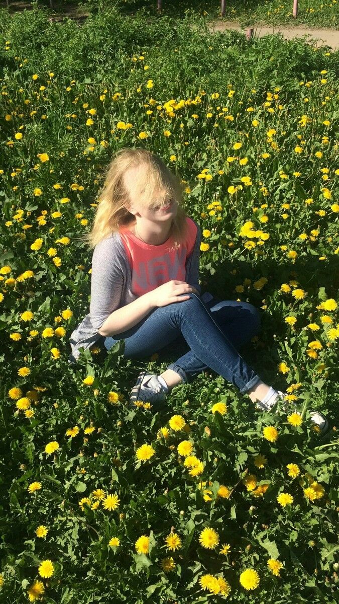  8503590  , 29 ,    -