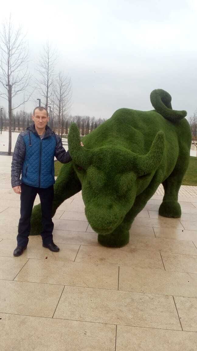 ���� 22966800 ������� ��������, 44 ����, ���� ���������� � ������