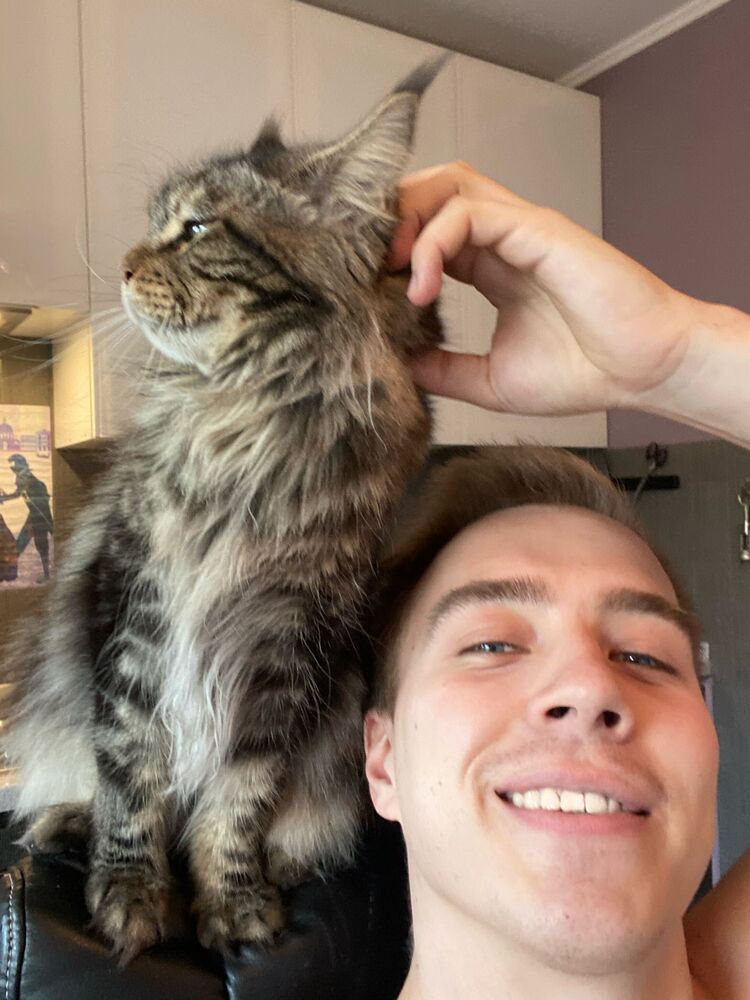 ���� 30879440 ������� �����, 30 ���, ���� ���������� � �������