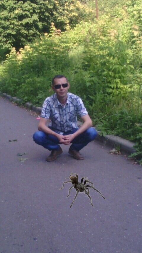 ���������� �����������, ���� ������� ����, 40 ���, ������������ ��� ������, ����� � ���������, c�������� ���������, ���������