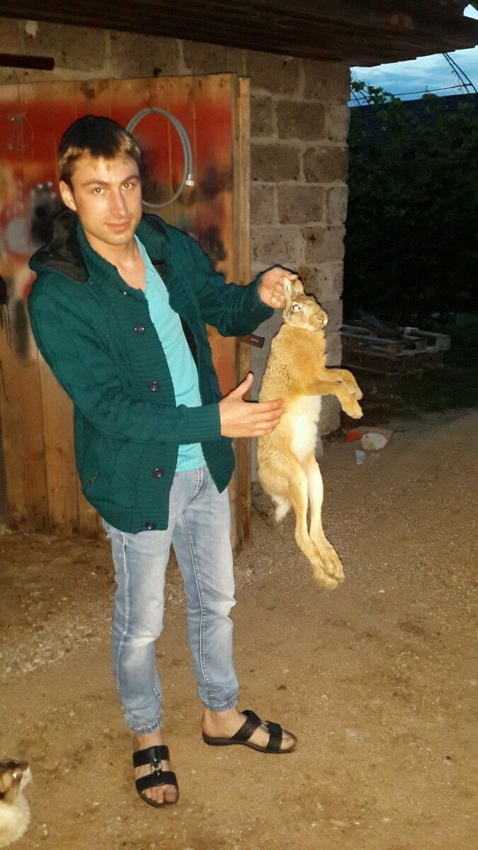  9930090  Anton, 36 ,    