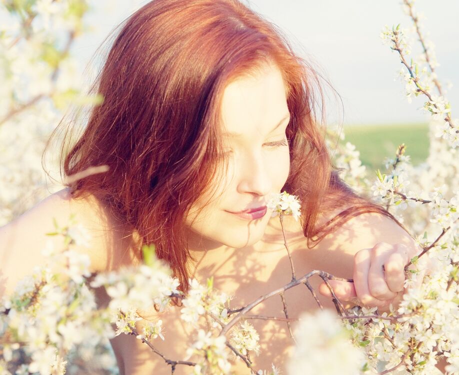 ���� 55183900 ������� ��������, 47 ���, ���� ���������� � �����������