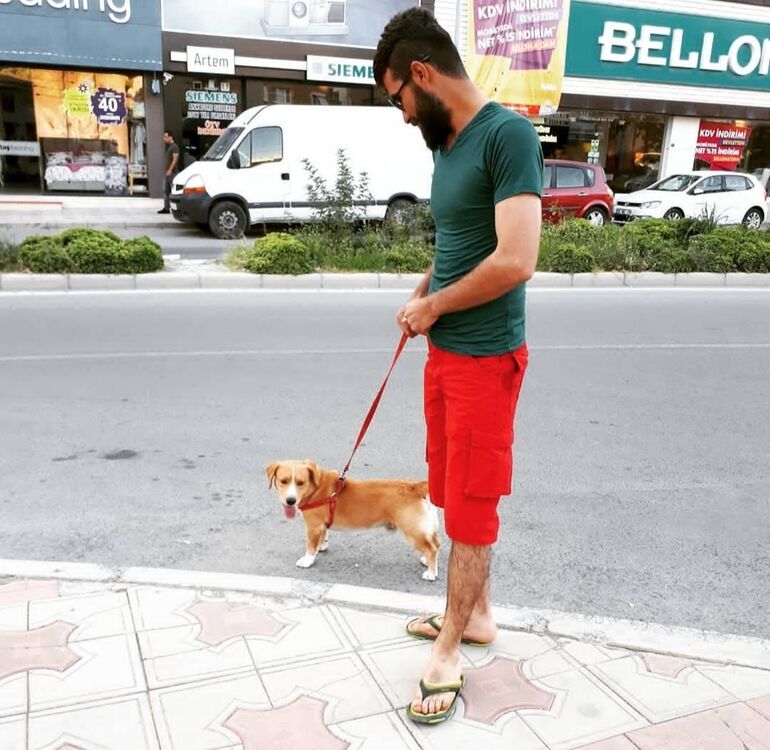 ���������� ��������, ���� ������� Dermando, 33 ����, ������������ ��� ������, ����� � ���������