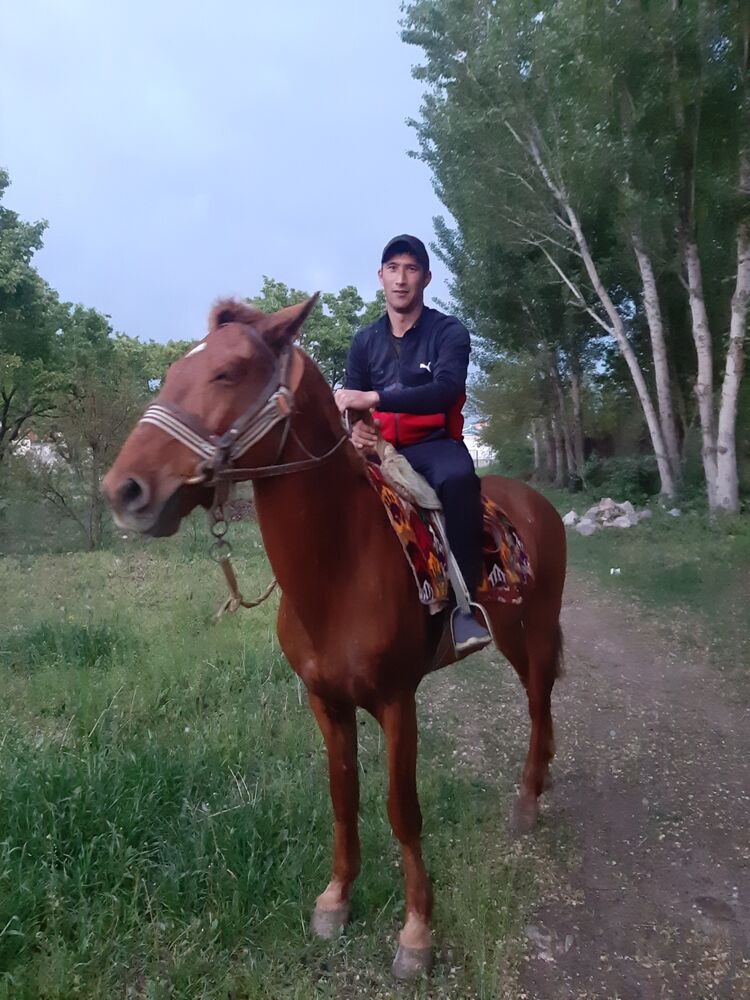  22896820  , 34 ,    