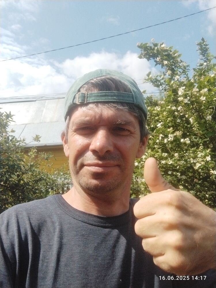  53431650  , 44 ,    