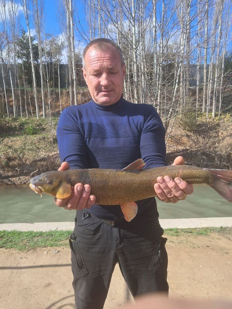 ���� 55751370 ������� �����, 55 ���, ���� ���������� � ��������