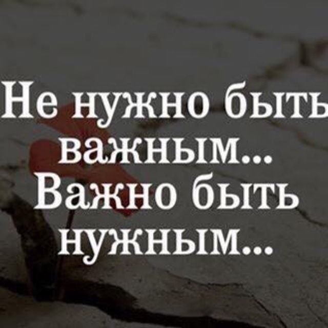  16027970  Dilshod, 42 ,    