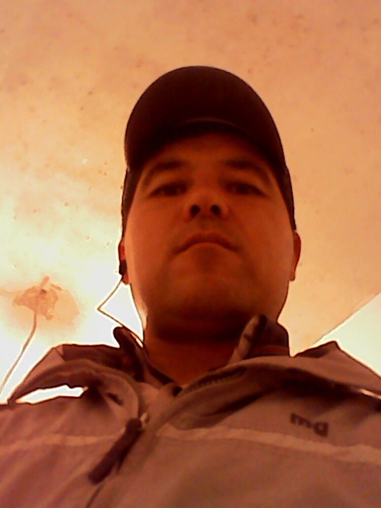  8331880  , 46 ,    