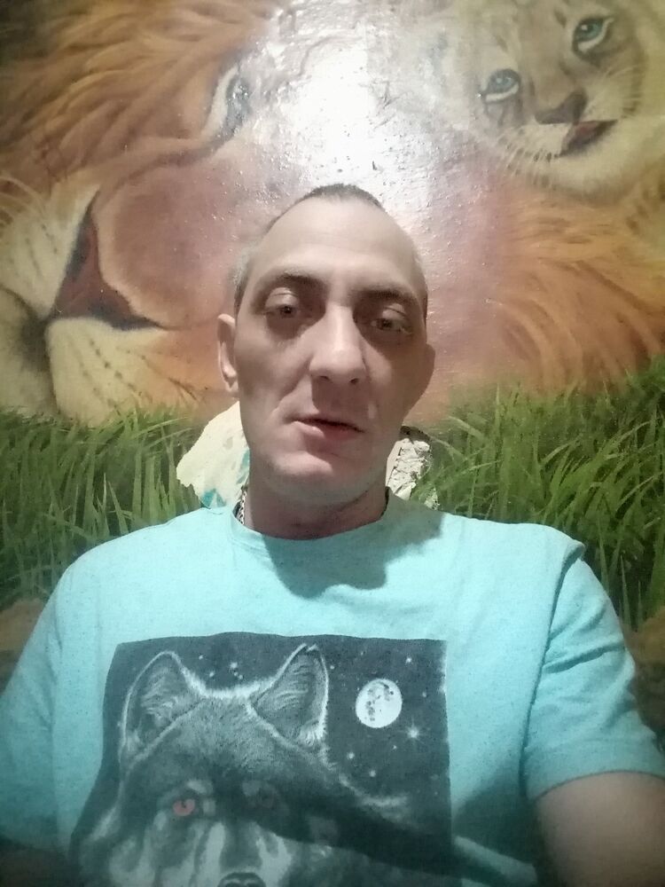  50166890  , 36 ,    