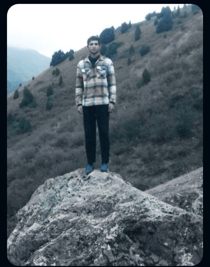  50686460  , 23 ,    