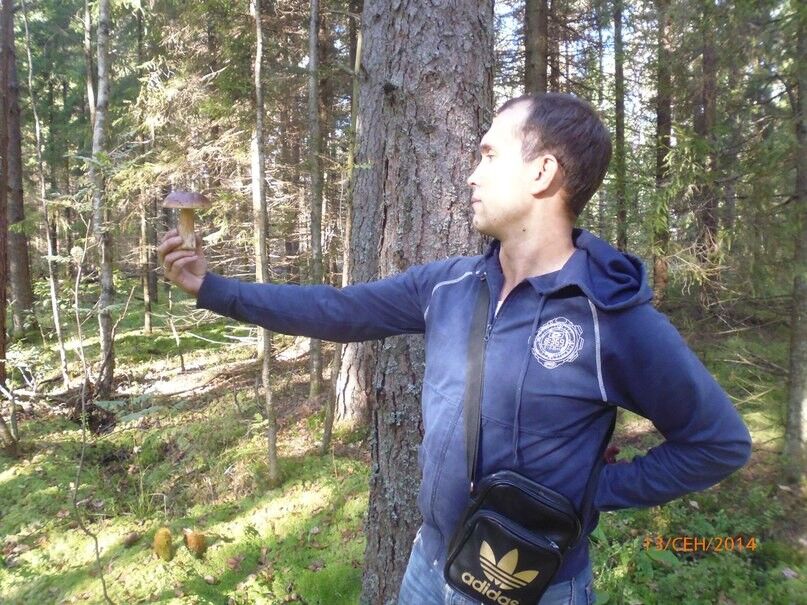 ���������� �����-���������, ���� ������� ����, 38 ���, ������������ ��� ������, ���������