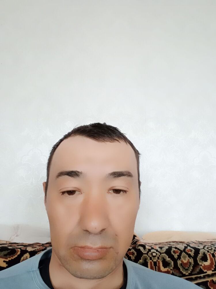  44585190  , 38 ,    