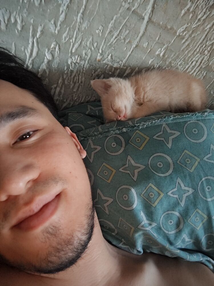 ���������� ���������, ���� ����� �����, 23 ����, ������������ ��� ������, ����� � ���������