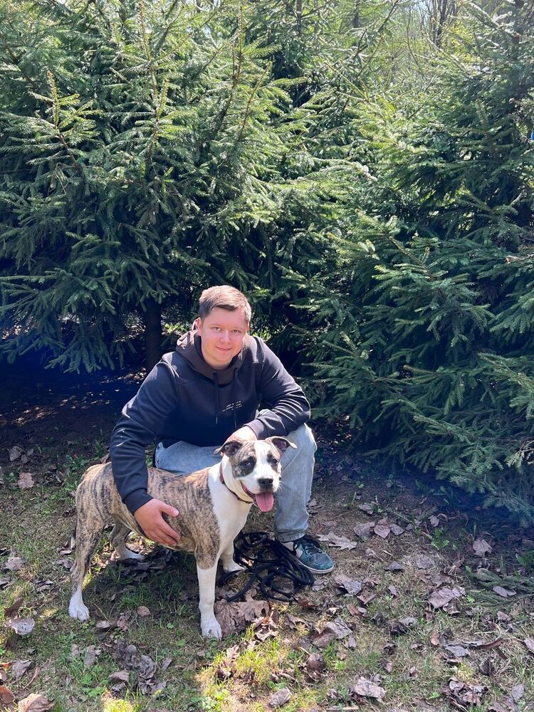 ���������� ������, ���� ����� ����, 25 ���, ������������ ��� ������, ����� � ���������